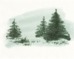 Evergreens