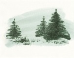 Evergreens